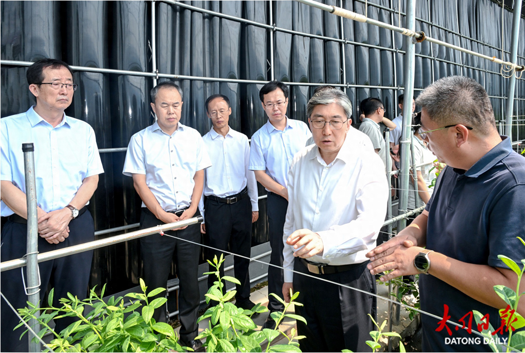 朱晓东在阳高县调研时强调：因地制宜强产业 厚植优势促发展 奋力推动兴业强县富民迈出更大步伐
